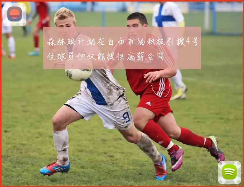森林狼计划在自由市场积极引援4号位球员但仅能提供底薪合同